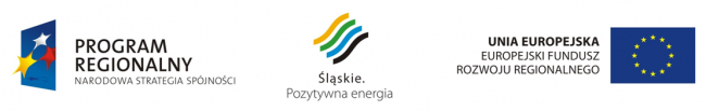 Europejski Fundusz Rozwoju Regionalnego w ramach Regionalnego Programu Operacyjnego dla Województwa Śląskiego na lata 2007-2013